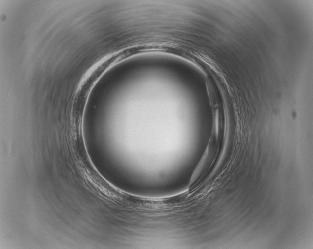 X0000056371120200508261356