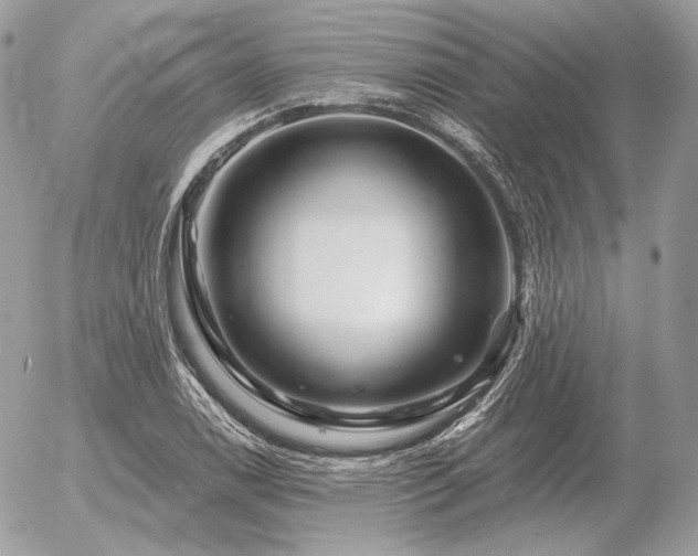 X0000056371122200508261356