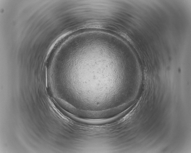 X0000056371123200508261356
