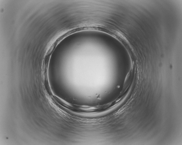 X0000056371124200508261356