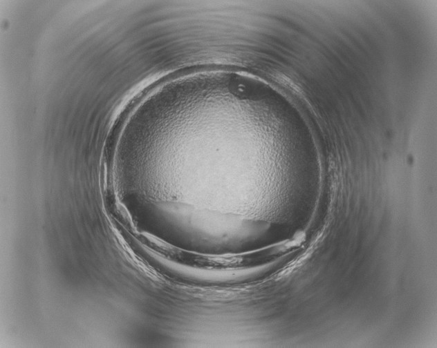 X0000056371125200508261356