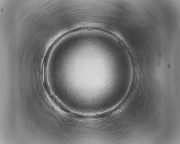 X0000056371127200508261356
