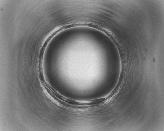 X0000056371134200508261356