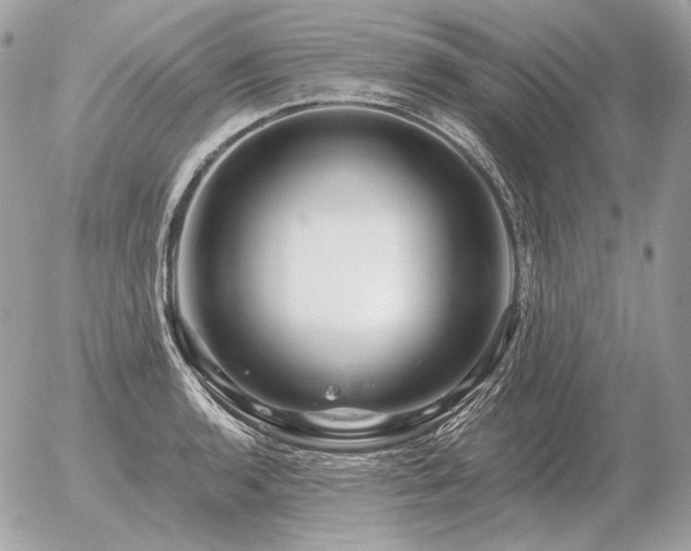 X0000056371136200508261356