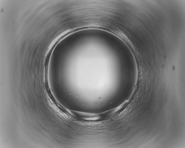 X0000056371140200508261356