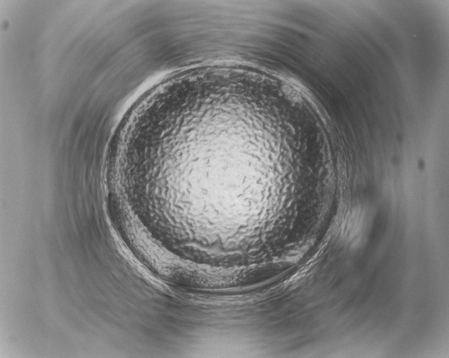 X0000056371142200508261356