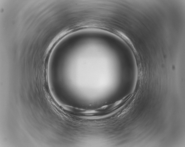 X0000056371146200508261356