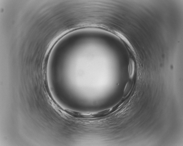 X0000056371148200508261356