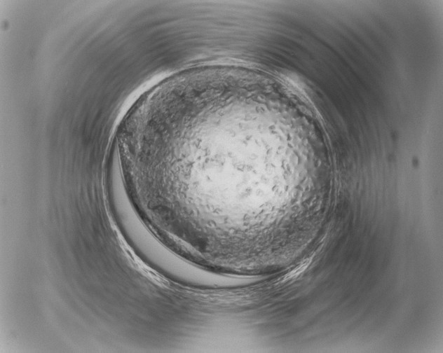 X0000056371149200508261356