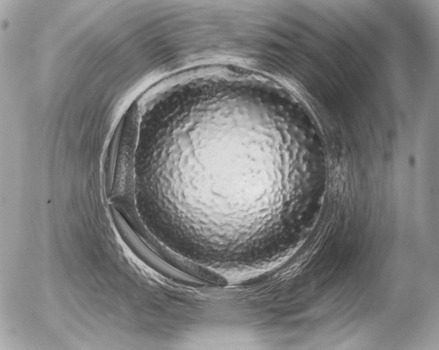 X0000056371151200508261356