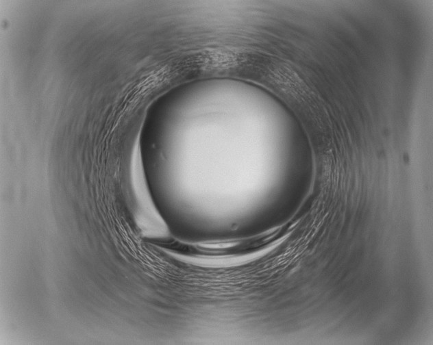 X0000056371153200508261355