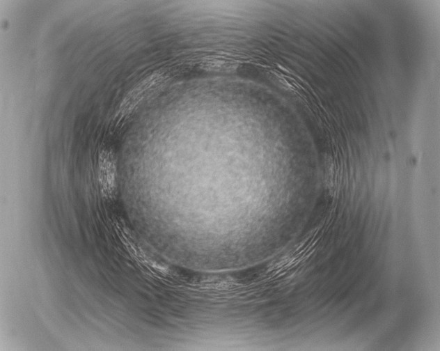 X0000056371154200508261355
