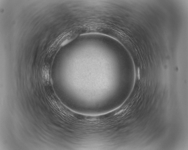 X0000056371155200508261355