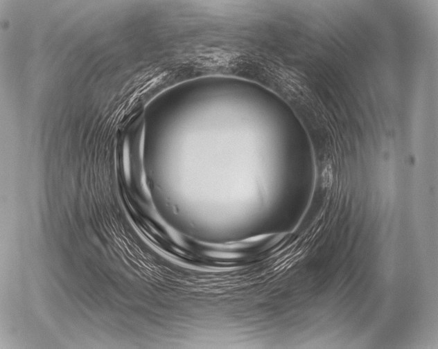 X0000056371156200508261355