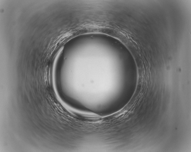 X0000056371157200508261355