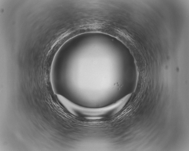 X0000056371160200508261355