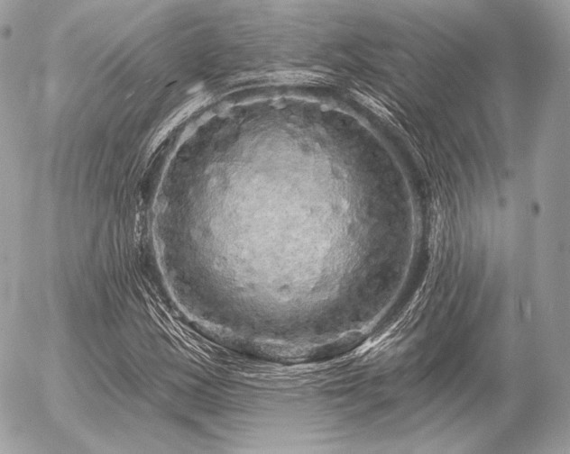 X0000056371163200508261355