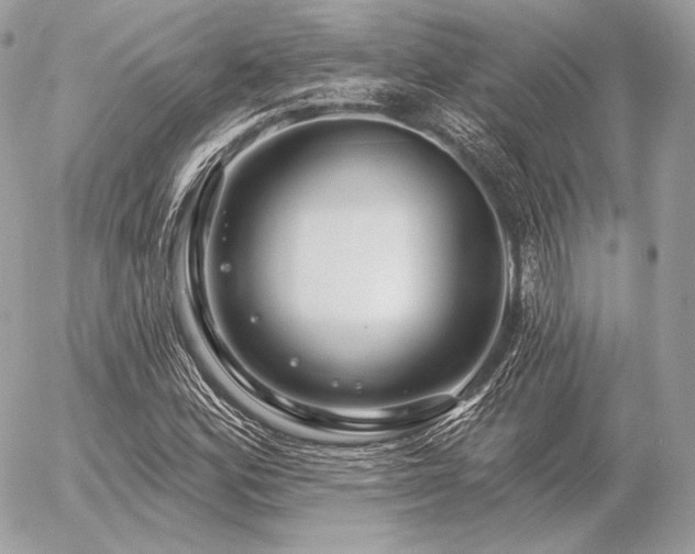 X0000056371164200508261355