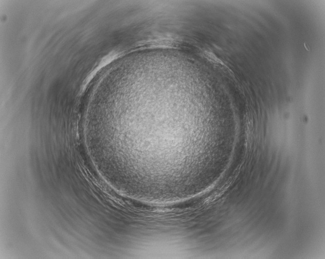 X0000056371166200508261355