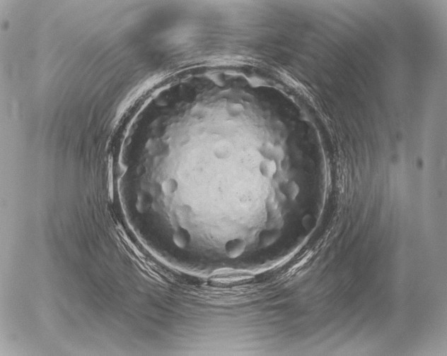 X0000056371171200508261355