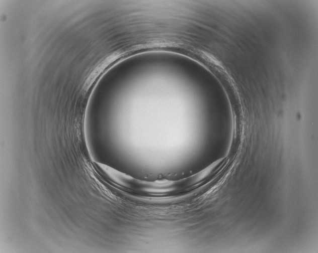 X0000056371177200508261355