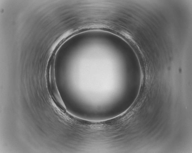 X0000056371181200508261355