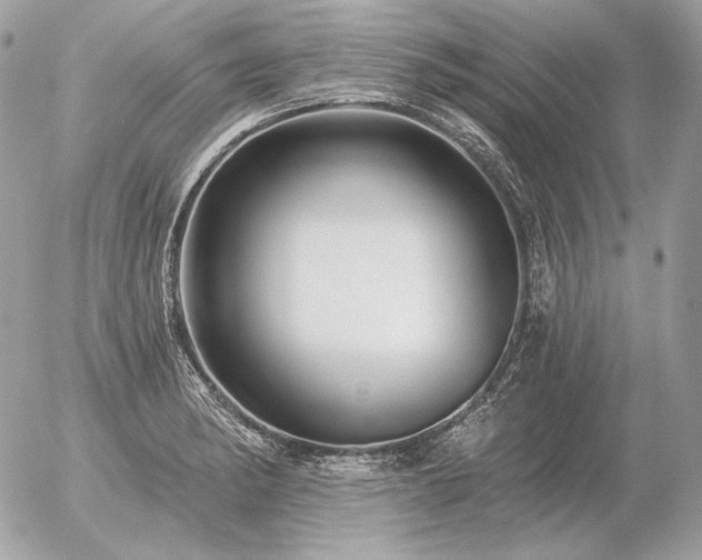 X0000056371182200508261355