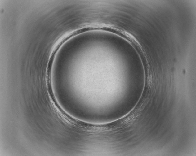 X0000056371183200508261355