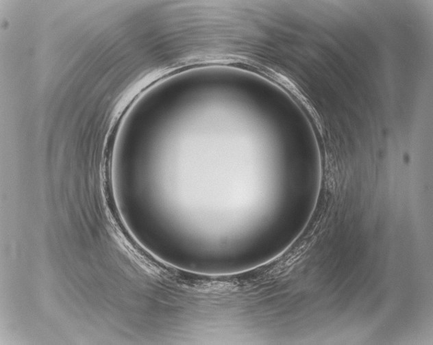 X0000056371187200508261355