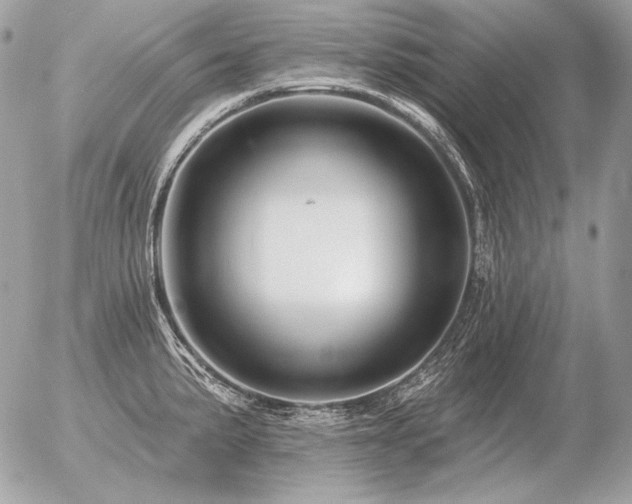 X0000056371191200508261355