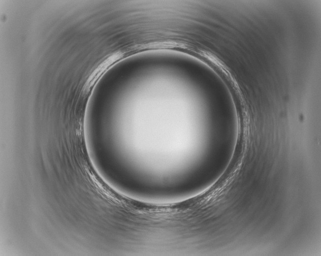 X0000056371193200508261355