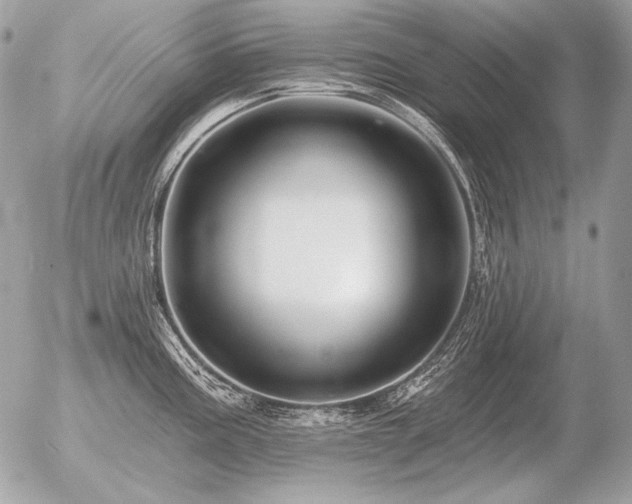 X0000056371195200508261355