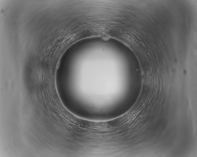 X0000056371201200508261354