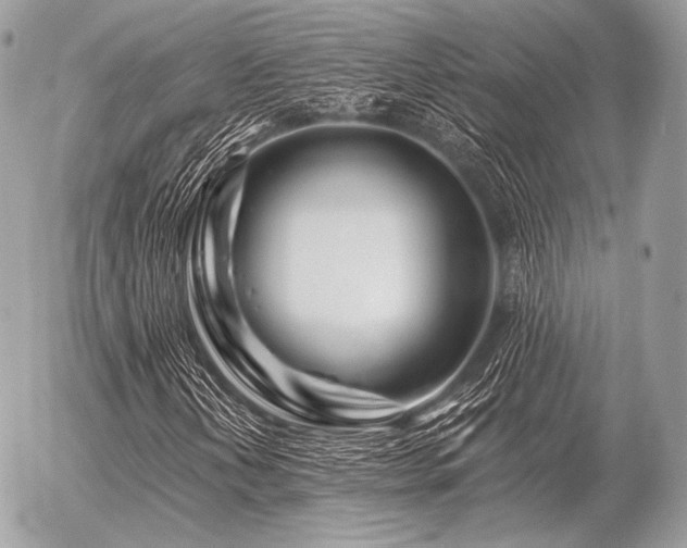 X0000056371202200508261354
