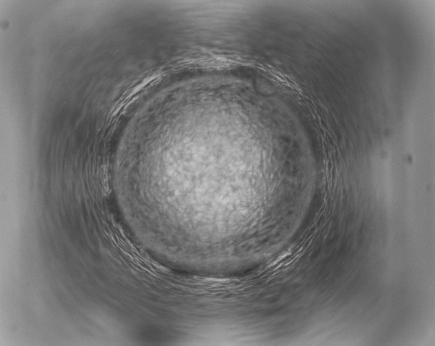 X0000056371205200508261354