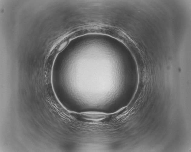 X0000056371208200508261354