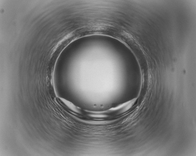 X0000056371210200508261354