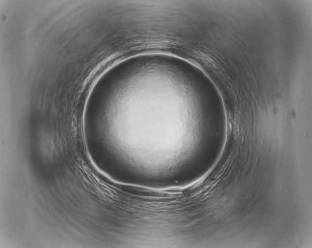 X0000056371212200508261354
