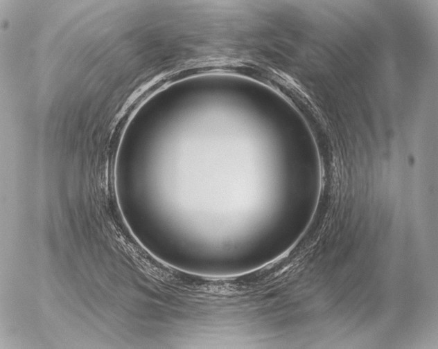 X0000056371220200508261354