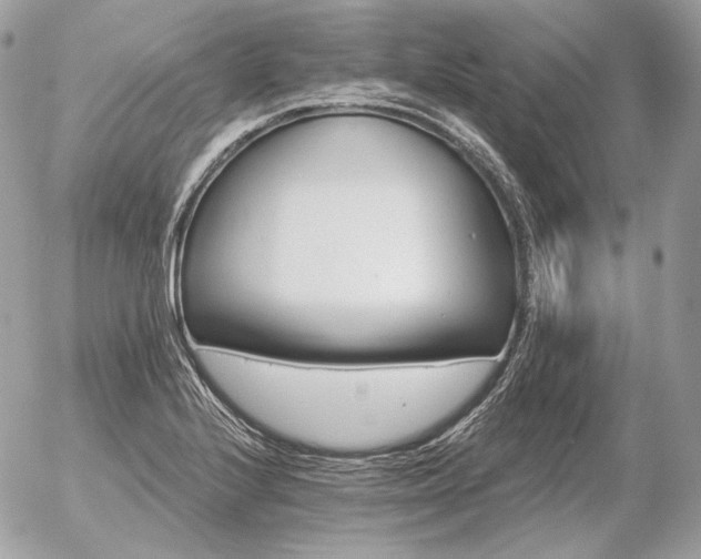 X0000056371224200508261354