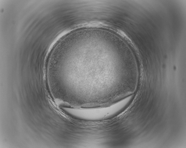 X0000056371232200508261354