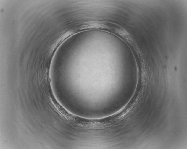 X0000056371233200508261354