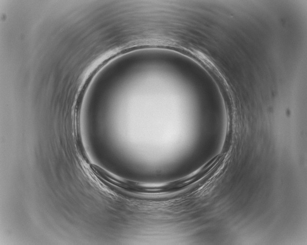 X0000056371238200508261355