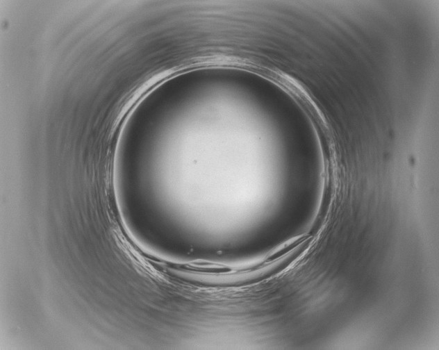 X0000056371244200508261355