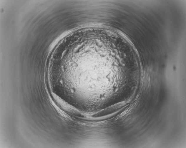 X0000056371245200508261355
