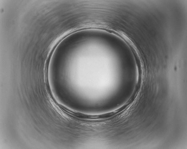 X0000056371246200508261355