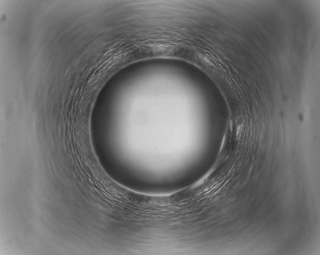 X0000056371249200508261354
