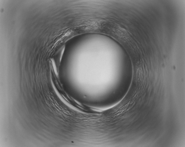 X0000056371250200508261354