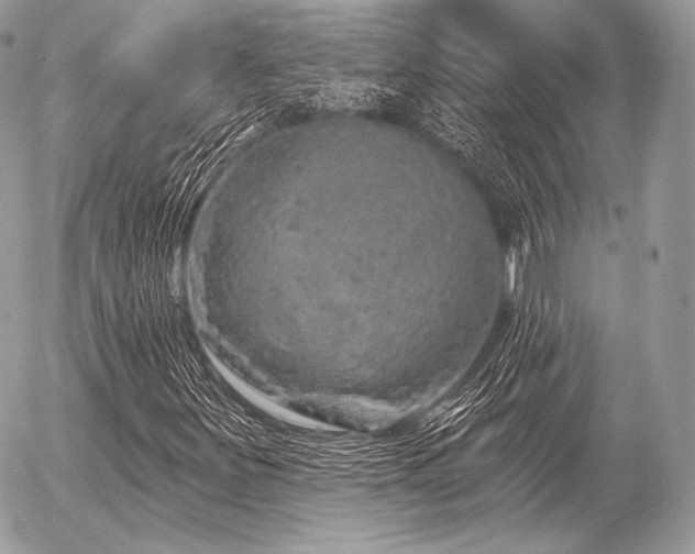 X0000056371251200508261354