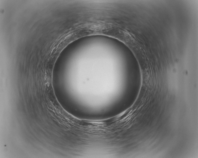 X0000056371253200508261354